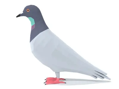 Low Poly Cartoon Pigeon Low-poly 3D model