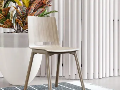  Timber Replica Hussl Forum 2 Chair Model 