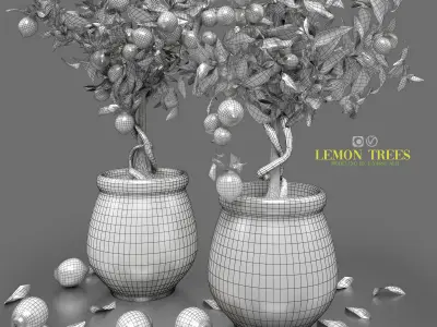 lemon trees 3D model