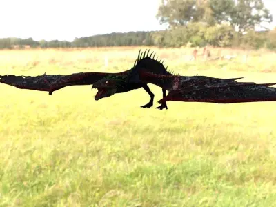 Dragon 3D model PBR flying in grass Low-poly 3D model