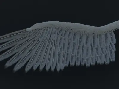 Wing Angels  Bird Low-poly 3D model