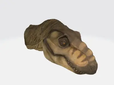 T-Rex head model 3D model