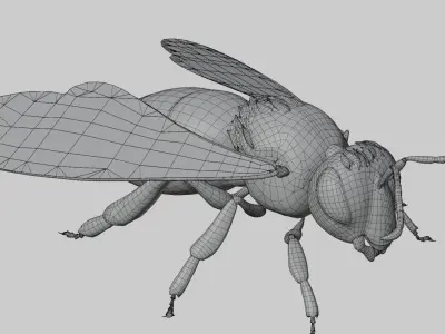 3D animated bee Low-poly 3D model
