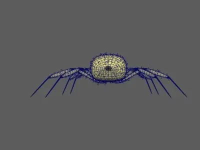 Spider Yellow sac 3D model