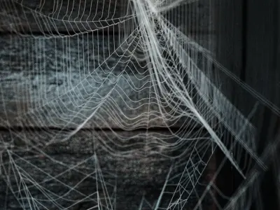 Spiderweb for shelves 3D model