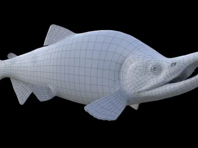 Oncorhynchus Nerka - The Red Sockeye Salmon 3D model