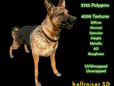 Dog K-9 - PBR - Textured Low-poly 3D model