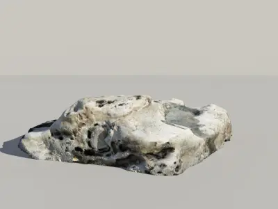 Fossile Whale Bone 3d Scan 3D model