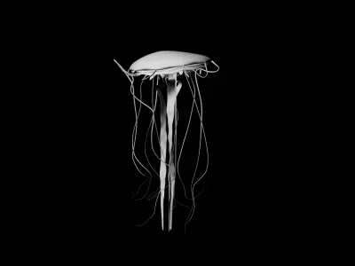 Jellyfish 3d Low-poly 3D model