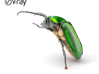 Iridescent Beetle Model Pack for HighDetail Rendering and Games Low-poly 3D model