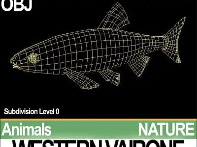 Western Vairone 3D model