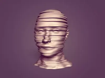 Abstract Bust Ready for 3D Printing Free 3D model