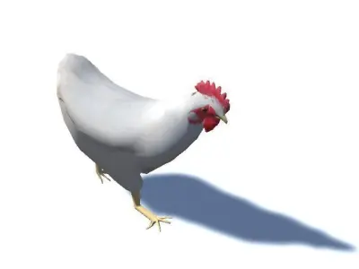 White Chicken - Animated Low Poly Low-poly 3D model
