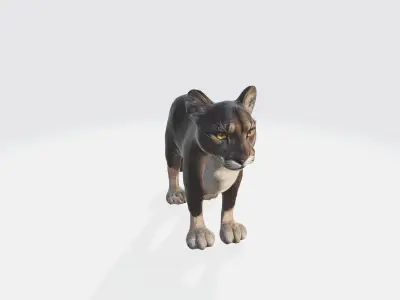 A young French bulldog puppy 3D model