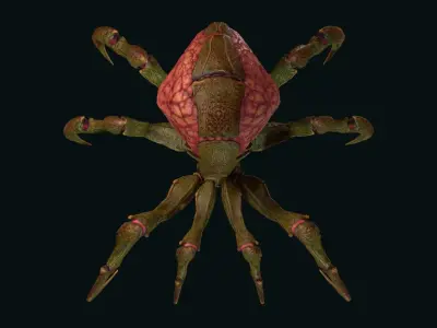 Spider 1 alien creature with long tentacles Low-poly 3D model
