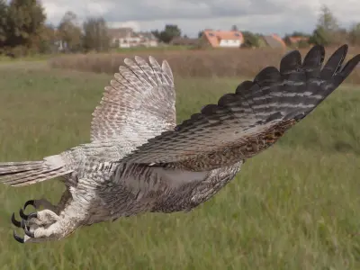 Great Horned Owl - Blender Low-poly 3D model