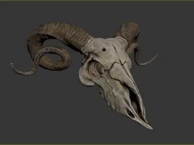 Ram Skull - Lowpoly and Highpoly Low-poly 3D model